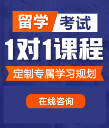 我把阴茎插近去了小萝莉的阴道里面射了留学考试一对一精品课